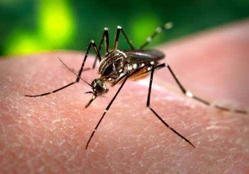 The Impact Of Mosquito Control Companies On Home Sale Listing Agents In Central Florida